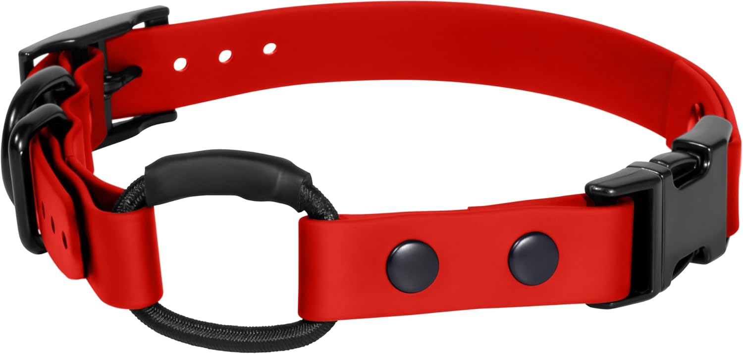 Bungee Collar for ecollar, Compatible with Mini Educator, e Collar Replacement Strap (Red 3/4