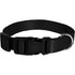Universal E-Collar Strap 3/4" – Fits PetSafe, Educator, Garmin, Dogtra