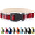 Pawsitive Hemp Collar - Hypoallergenic, Soft Organic Collar for Dogs with Sensitive Skin (Large, Green)