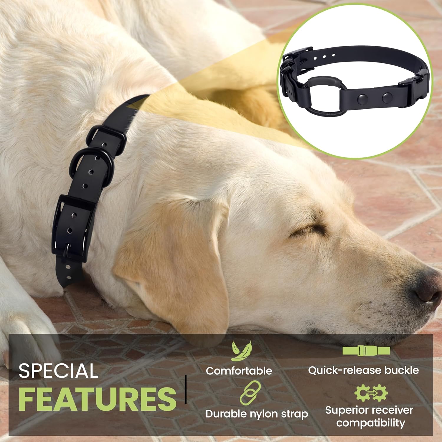 Bungee Collar for ecollar, Compatible with Mini Educator, e Collar Replacement Strap (Red 3/4