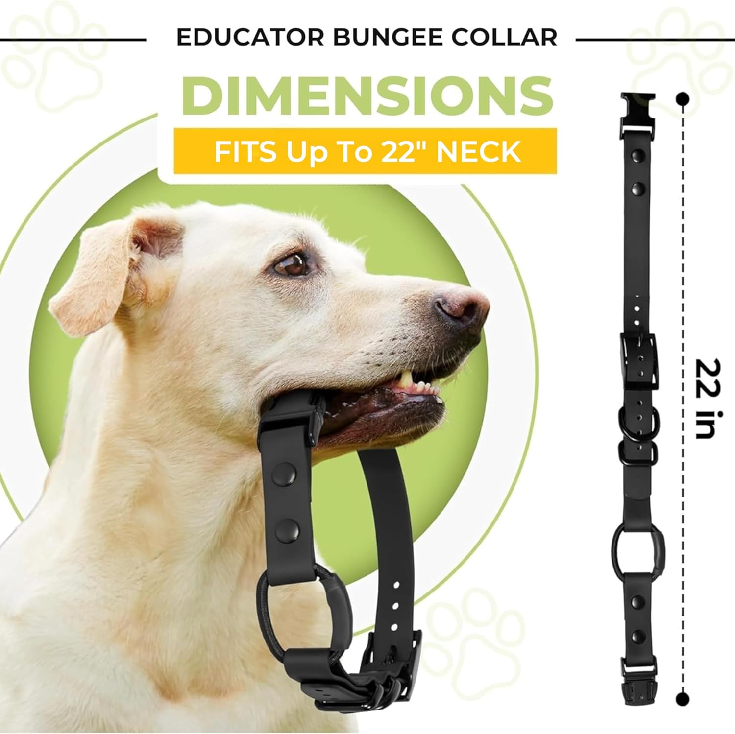 Bungee Collar for ecollar, Compatible with Mini Educator, e Collar Replacement Strap (Red 3/4