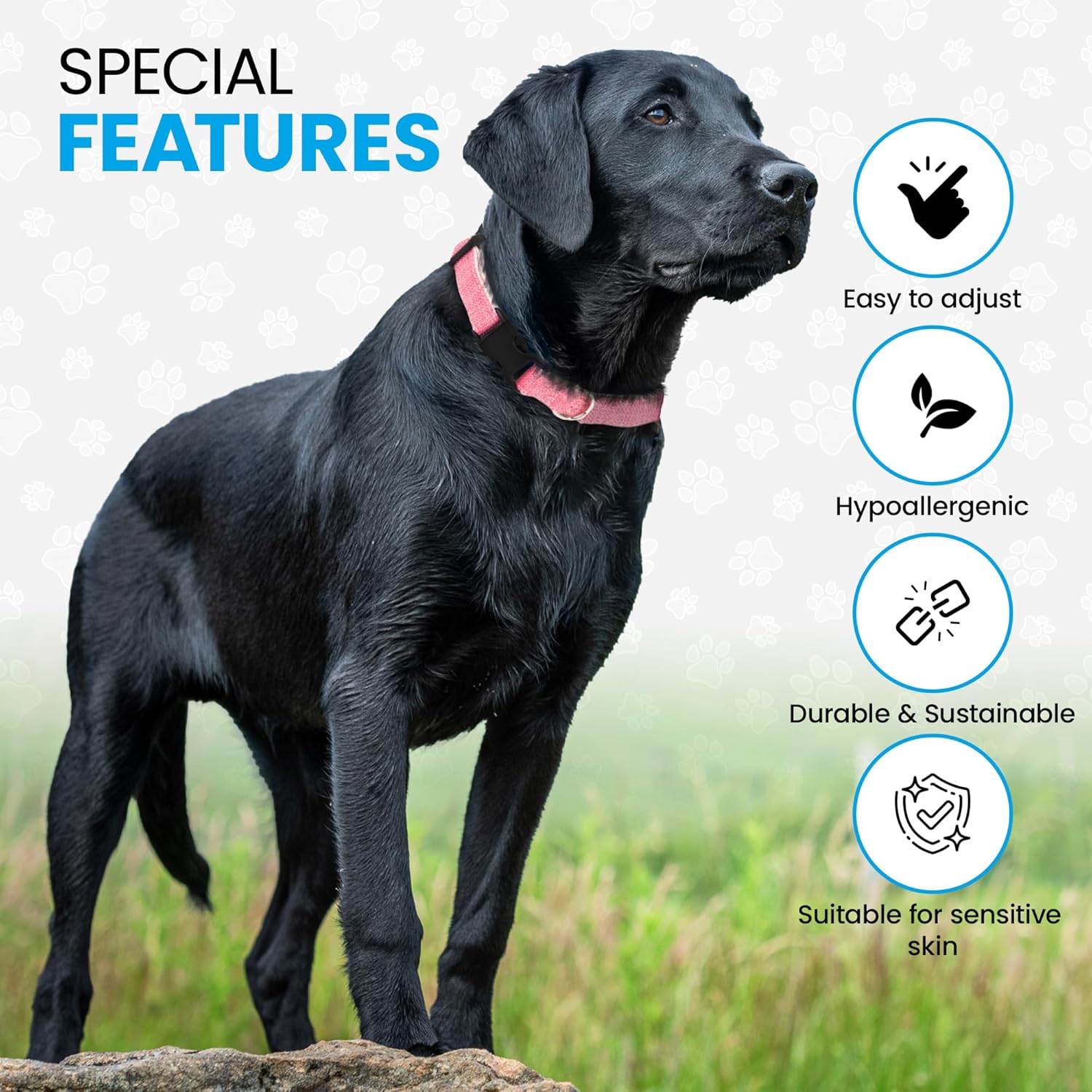 Pawsitive Hemp Collar - Hypoallergenic, Soft Organic Collar for Dogs with Sensitive Skin (Large, Green)