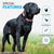 Pawsitive Hemp Collar - Hypoallergenic, Soft Organic Collar for Dogs with Sensitive Skin (Large, Green)