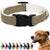 Pawsitive Hemp Collar - Hypoallergenic, Soft Organic Collar for Dogs with Sensitive Skin (Large, Green)