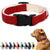 Pawsitive Hemp Collar - Hypoallergenic, Soft Organic Collar for Dogs with Sensitive Skin (Large, Green)