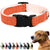 Pawsitive Hemp Collar - Hypoallergenic, Soft Organic Collar for Dogs with Sensitive Skin (Large, Green)