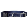 Ecollar Buckle Strap