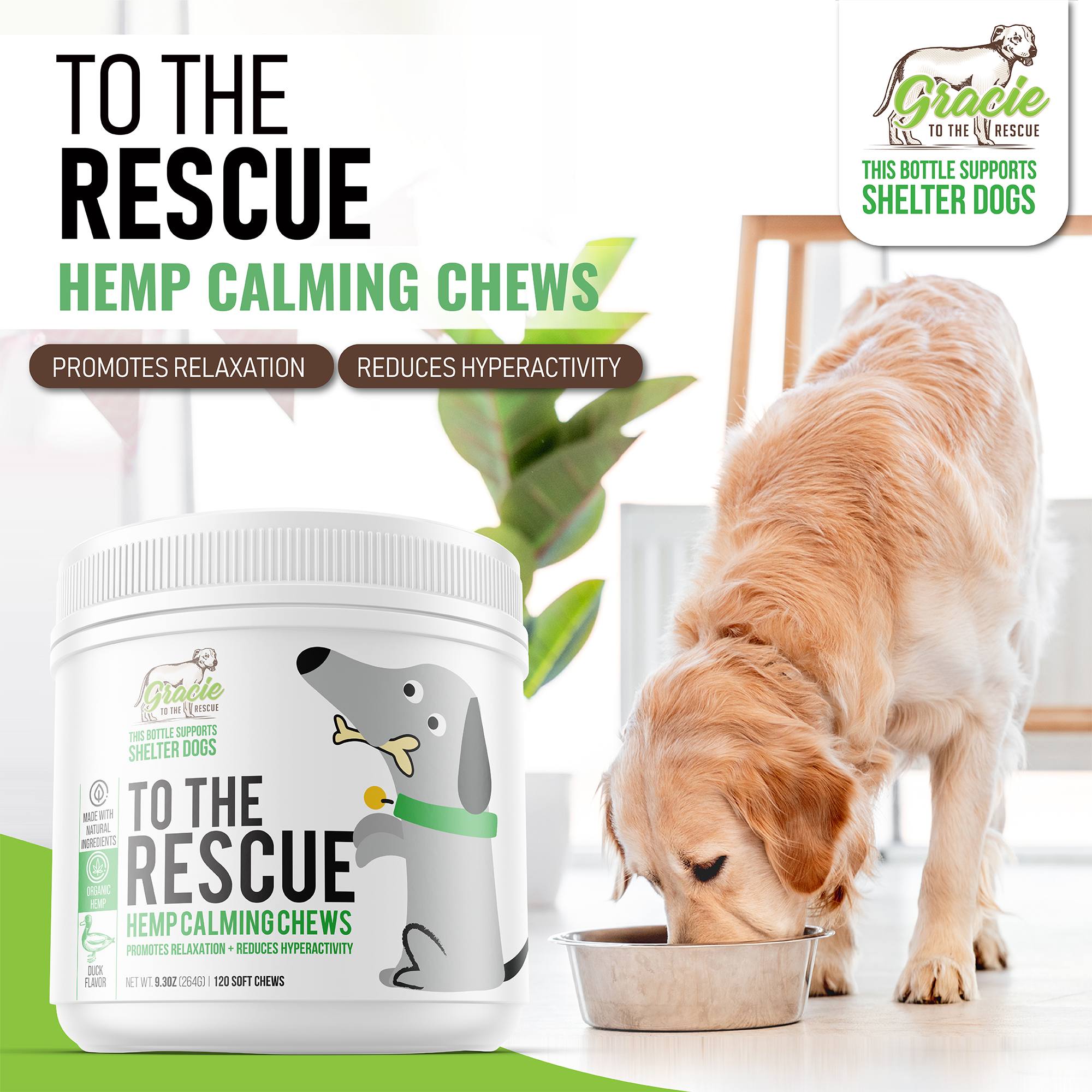Calming Treats for Dogs -120 Soft Chews