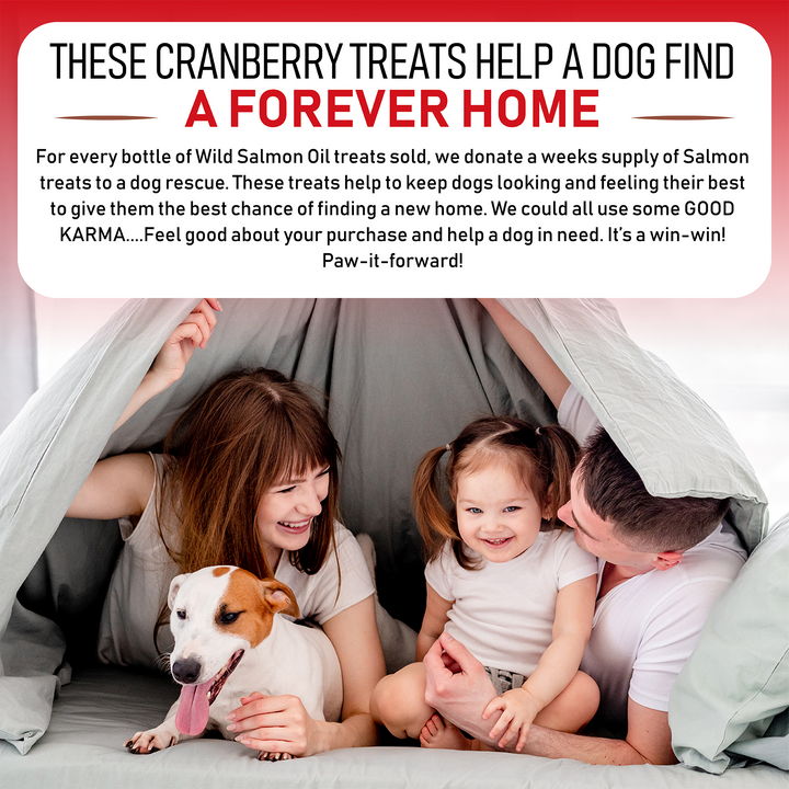Cranberry for Dogs - Natural bladder support with D Mannose - 120 Soft Chews