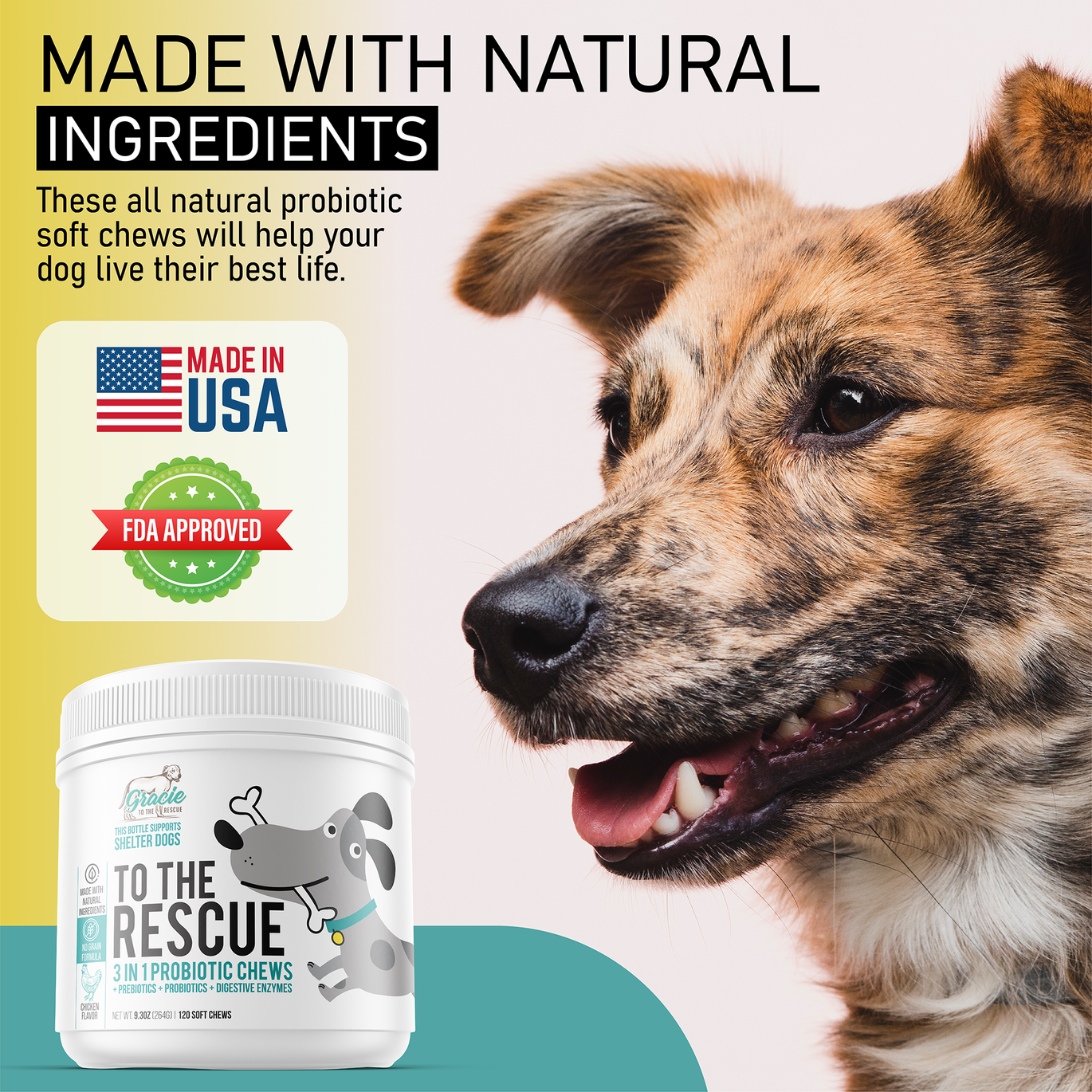 All Natural Probiotics -120 Soft Chews.